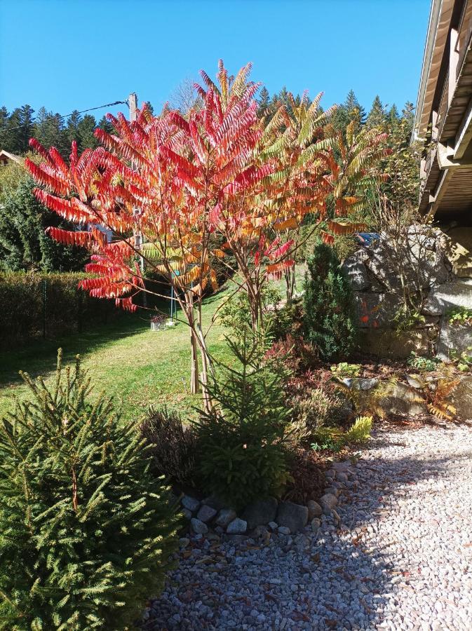 Bed and Breakfast L'Eden De Floridylle Xonrupt-Longemer Esterno foto