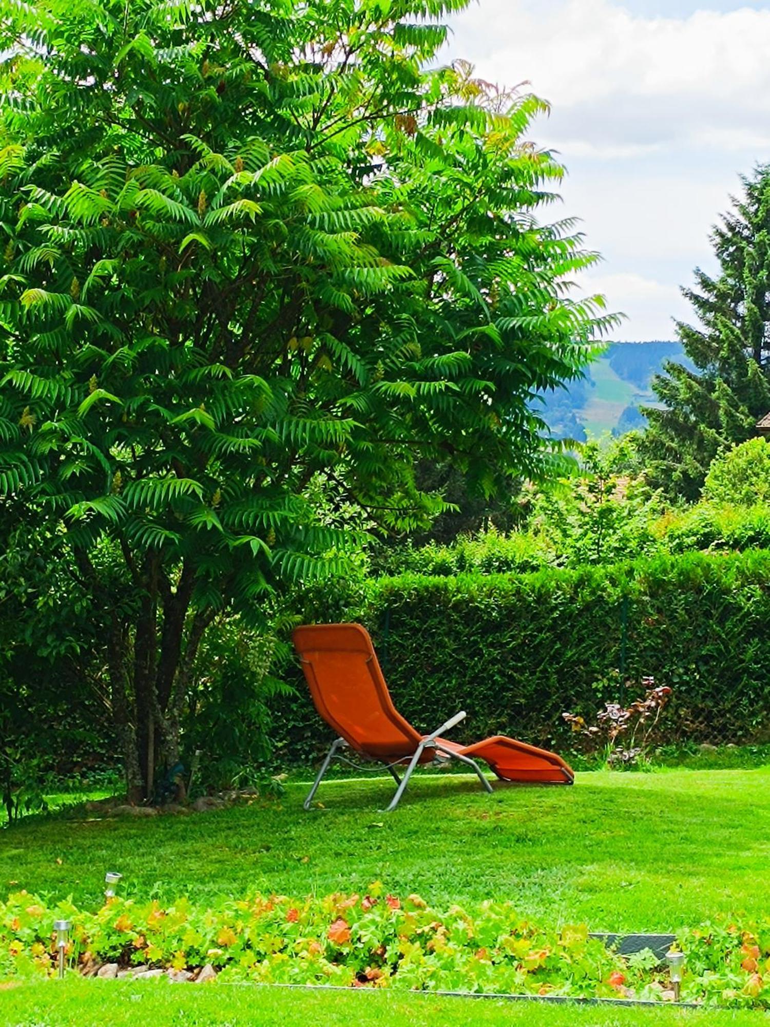 Bed and Breakfast L'Eden De Floridylle Xonrupt-Longemer Esterno foto